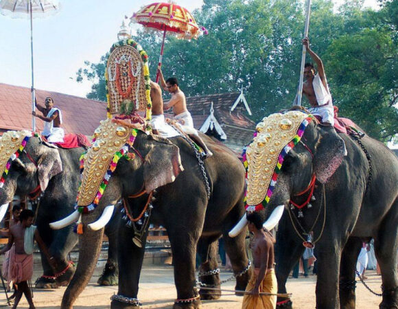 Serene Kerala Escapade: From Munnar's Misty Mountains to Alleppey's Tranquil Backwaters