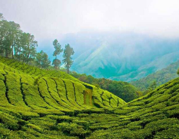 Tranquil Treasures of Kerala: Discover Poovar and Beyond