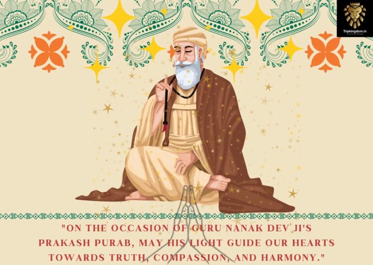 Instagram post from tripkingdom.in. This post is in position 5.